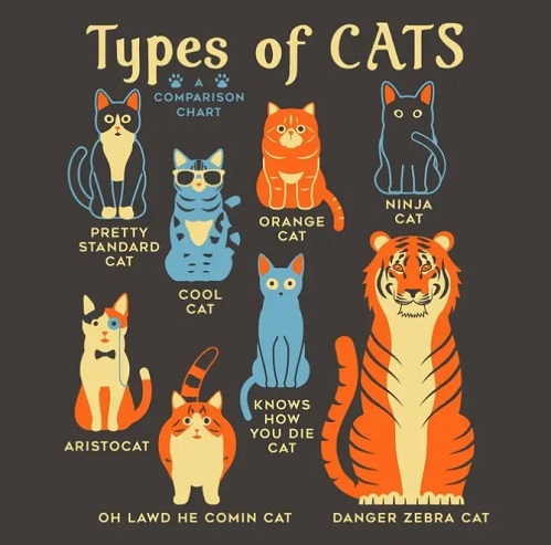 types of cats.jfif